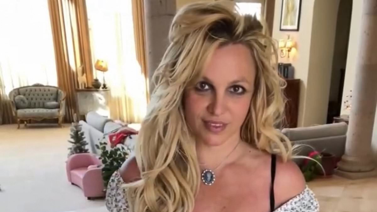 Britney Spears Faces DUI: Fan Concern and Her Team's Response